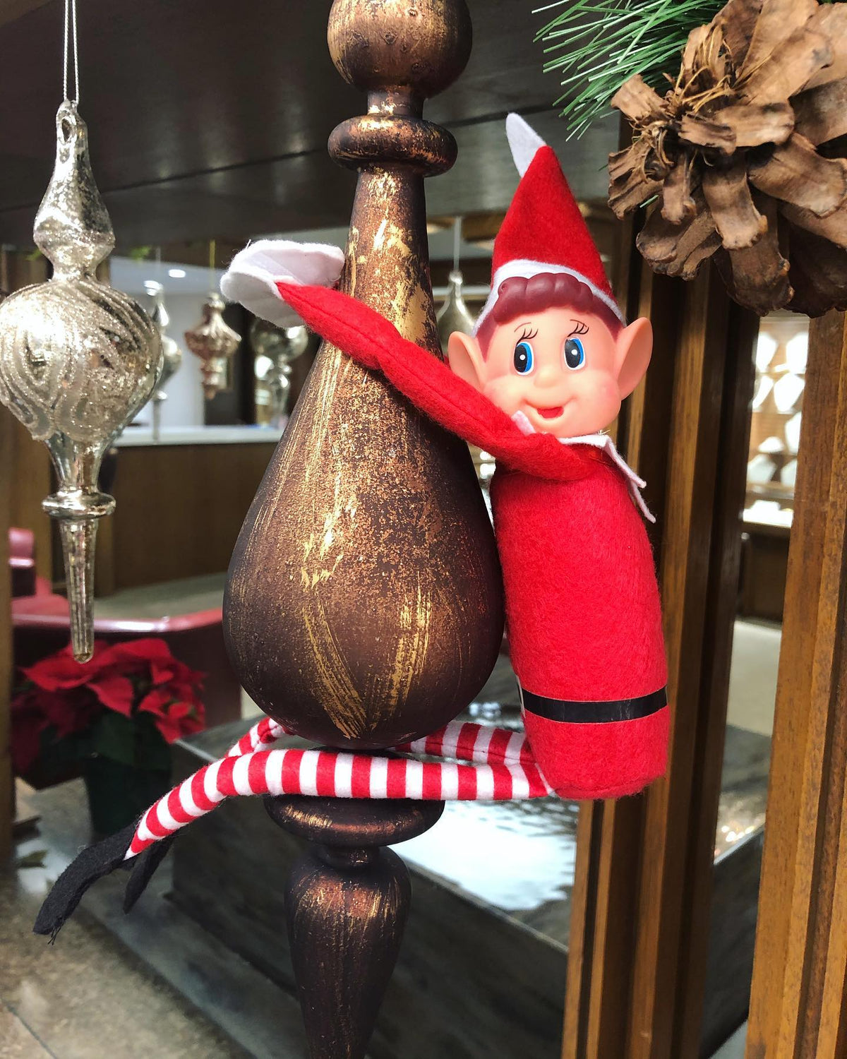 Holiday Gift Guide