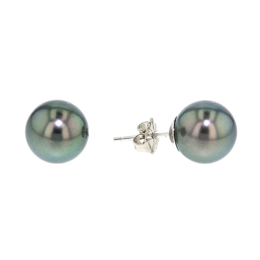 Tahitian Pearl Stud Earrings