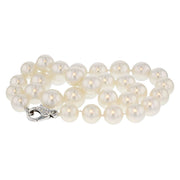 South Sea Pearl Strand with White Gold Diamond Clasp